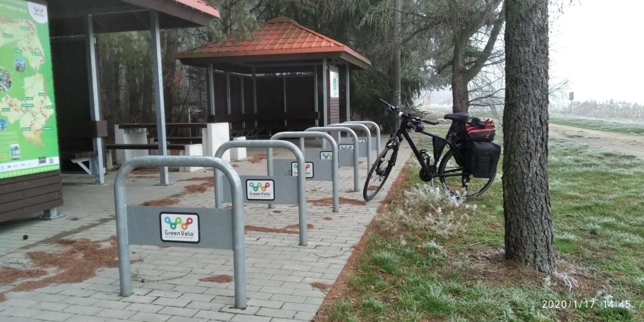 Bialowieza Spanie Na Sianie Puszcza Bialowieska Dubicze Cerkiewne ภายนอก รูปภาพ