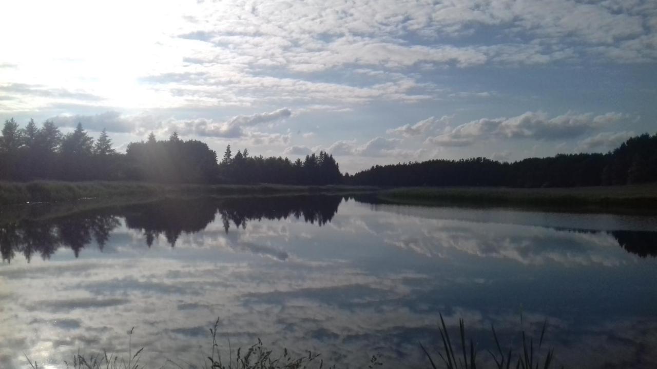 Bialowieza Spanie Na Sianie Puszcza Bialowieska Dubicze Cerkiewne ภายนอก รูปภาพ